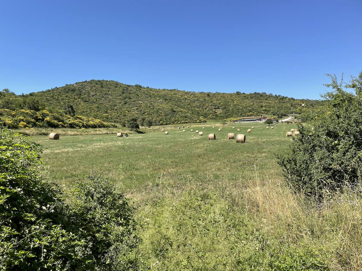 Cammino di San Benedetto - Campi verso Mandela
