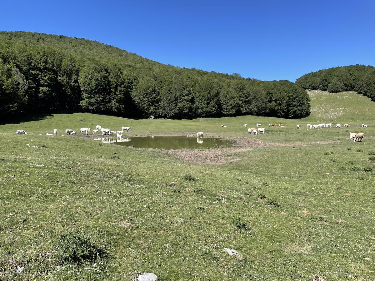 Cammino di San Benedetto - I prati di San Bartolomeo