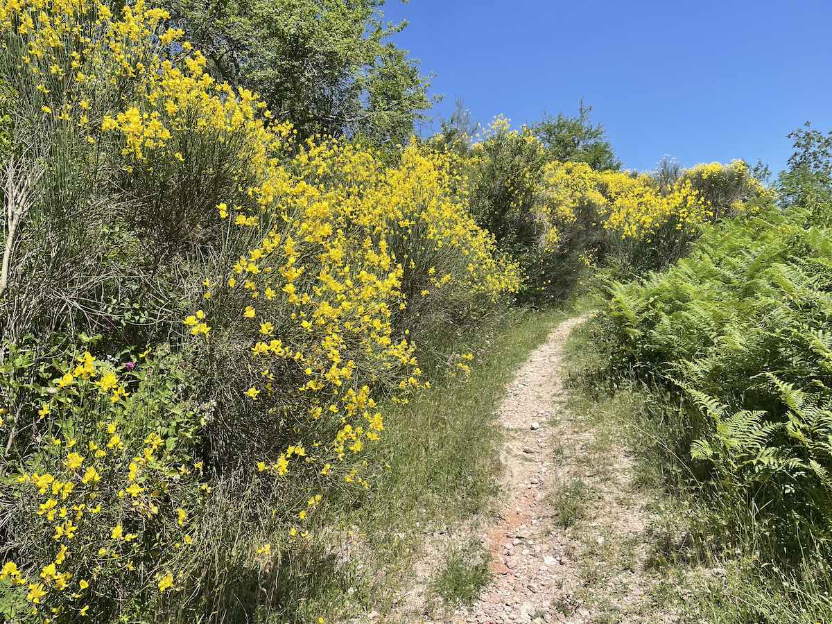 Cammino di San Benedetto - Sentiero tra Civitella e Licenza