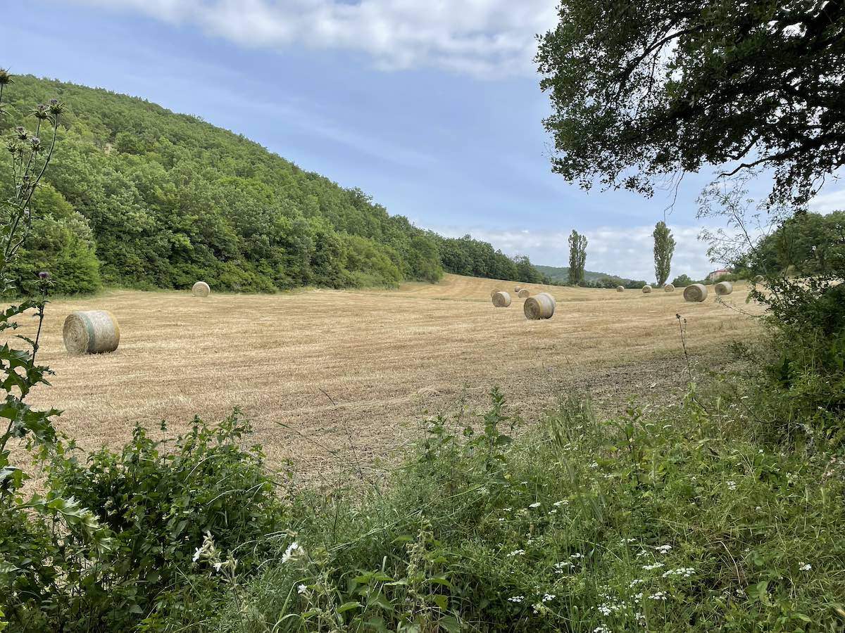 Cammino di San Benedetto - Campi tra Norcia e Cascia