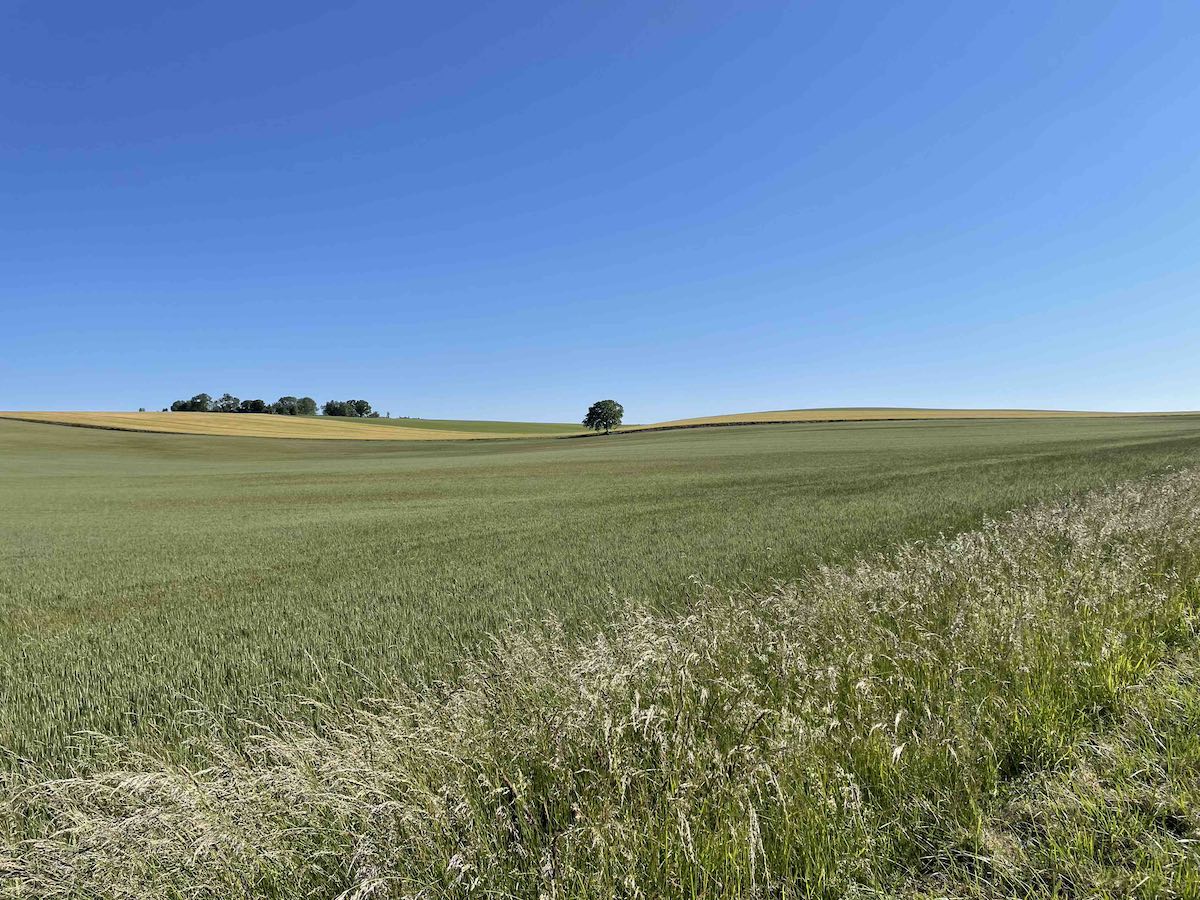 Via Francigena - Natura tra Chavanges e Rosnay-l’Hôpital