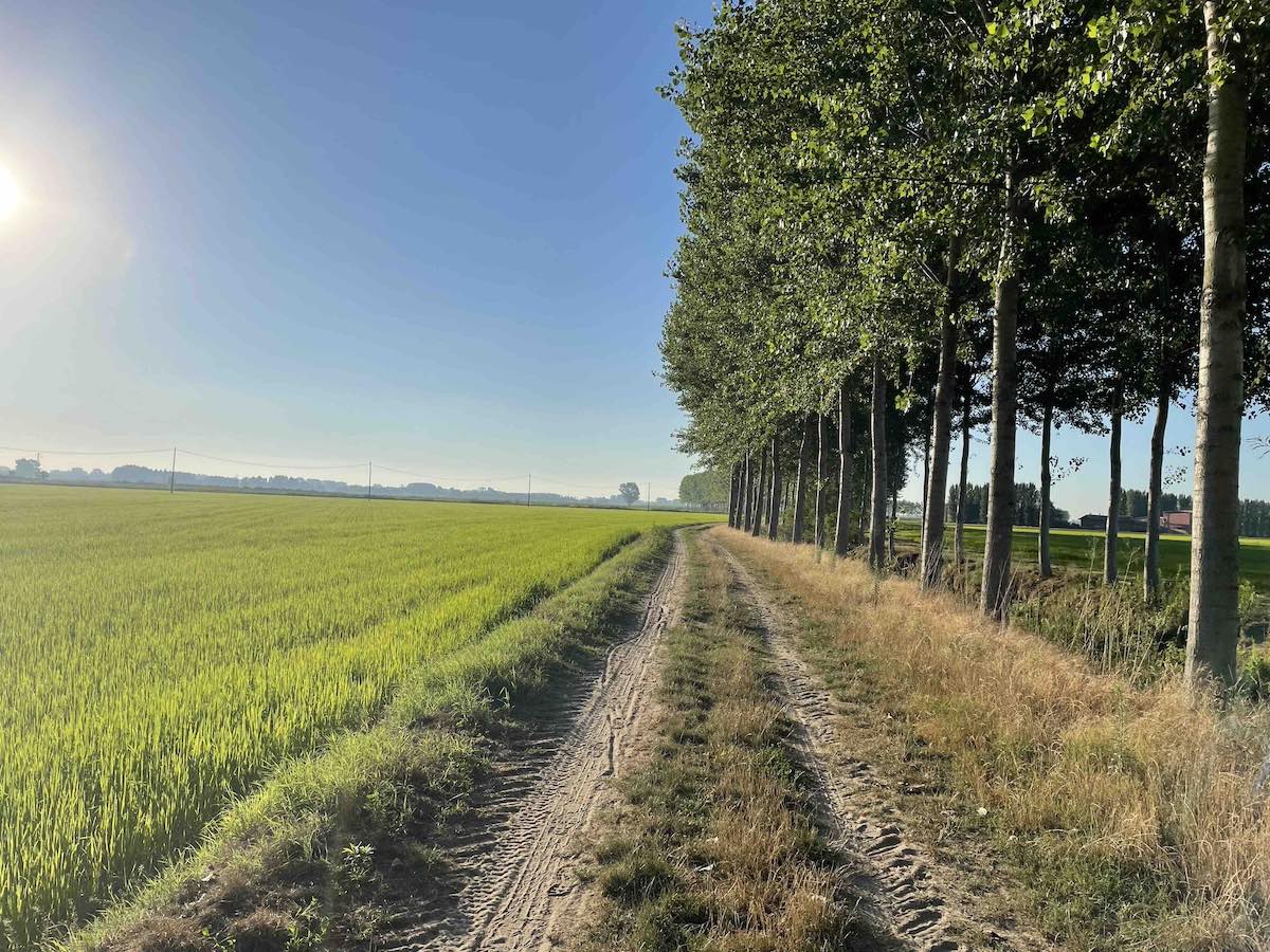 Via Francigena - Campagna della pianura padana tra Mortara e Remondò in Lombardia