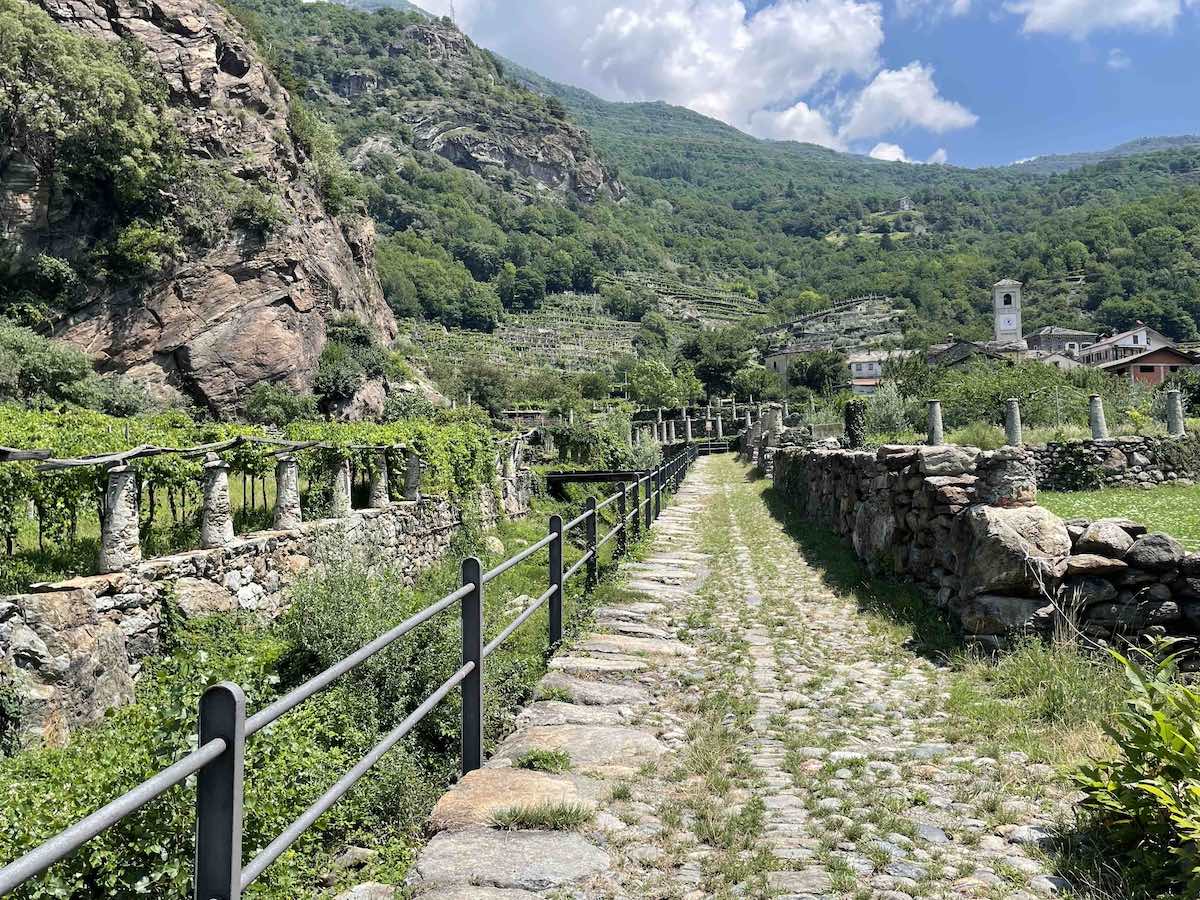 Via Francigena - Vigneti a Cesnola nel comune di Settimo Vittone in Valle d’Aosta