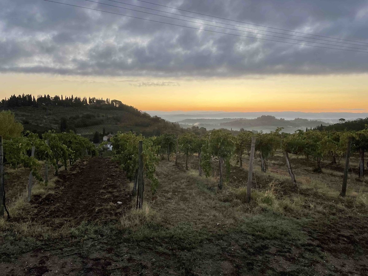 Via Francigena - Panorama di San Gimignano verso Monteoliveto in Toscana